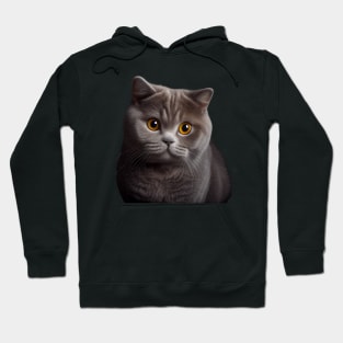 British Shorthair Cat - A Sweet Gift Idea For All Cat Lovers And Cat Moms Hoodie